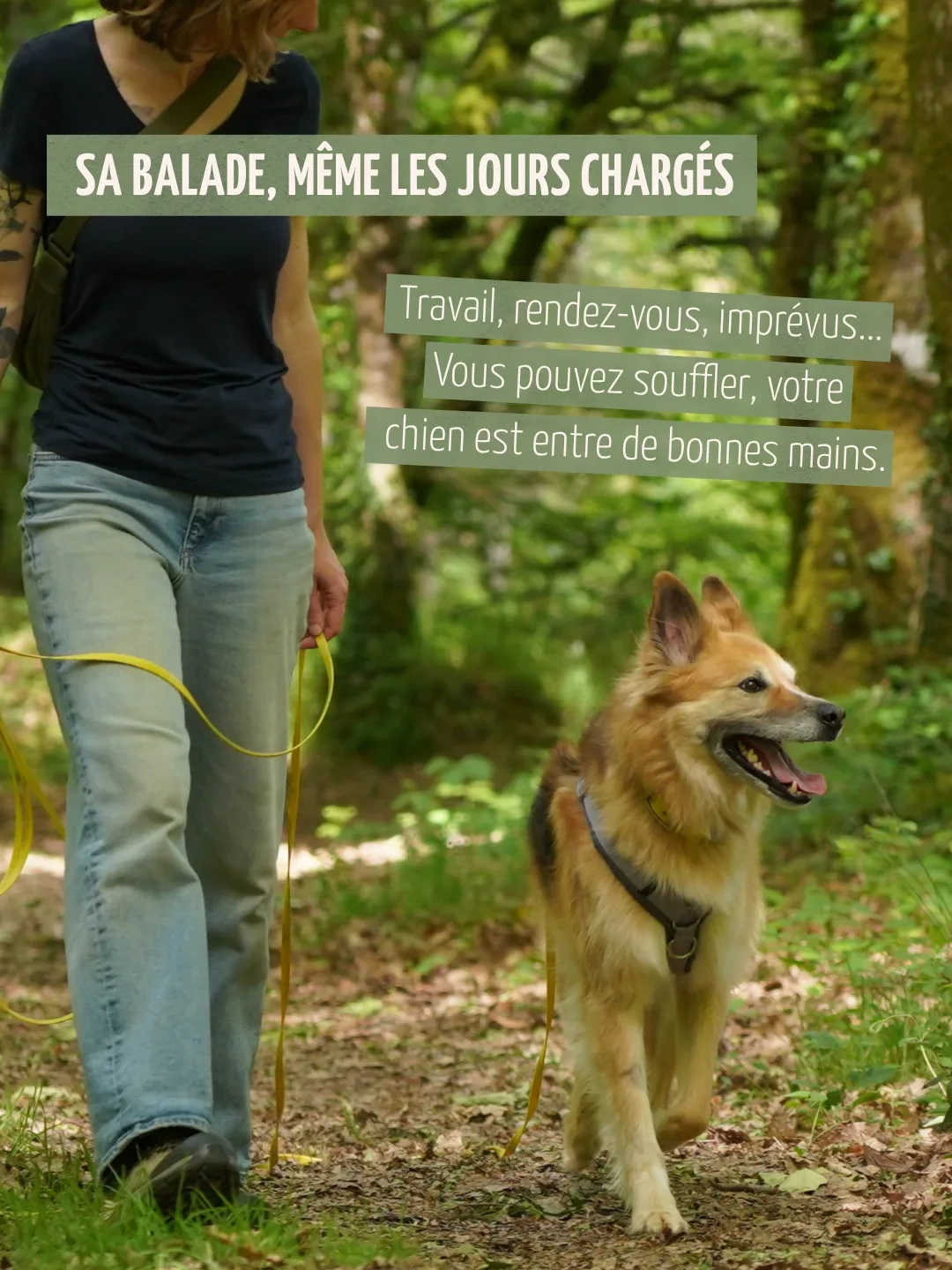 Sa balade, même les jours chargés. Travail, rendez-vous, imprévus... Vous pouvez souffler, votre chien est entre de bonnes mains.