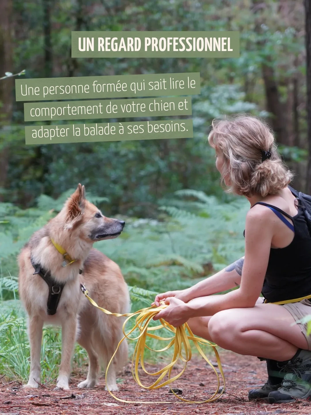 Un regard professionnel. Une personne formée qui sait lire le comportement de votre chien et adapter la balade à ses besoins.