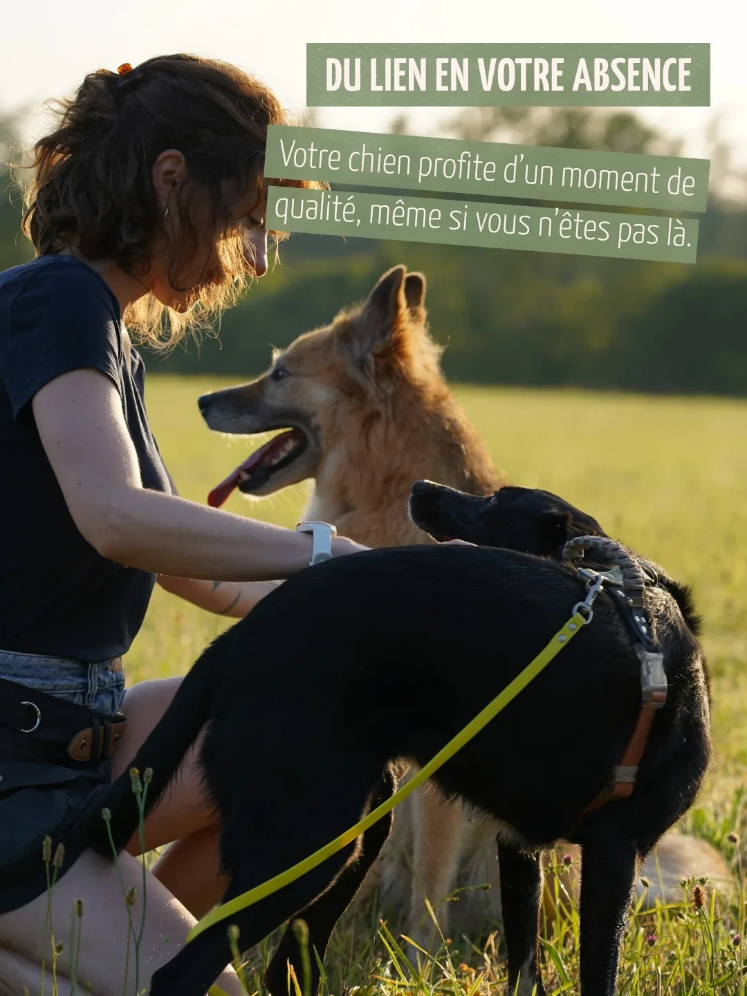 Du lien en votre absence. Votre chien profite d’un moment de qualité, même si vous n’êtes pas là.