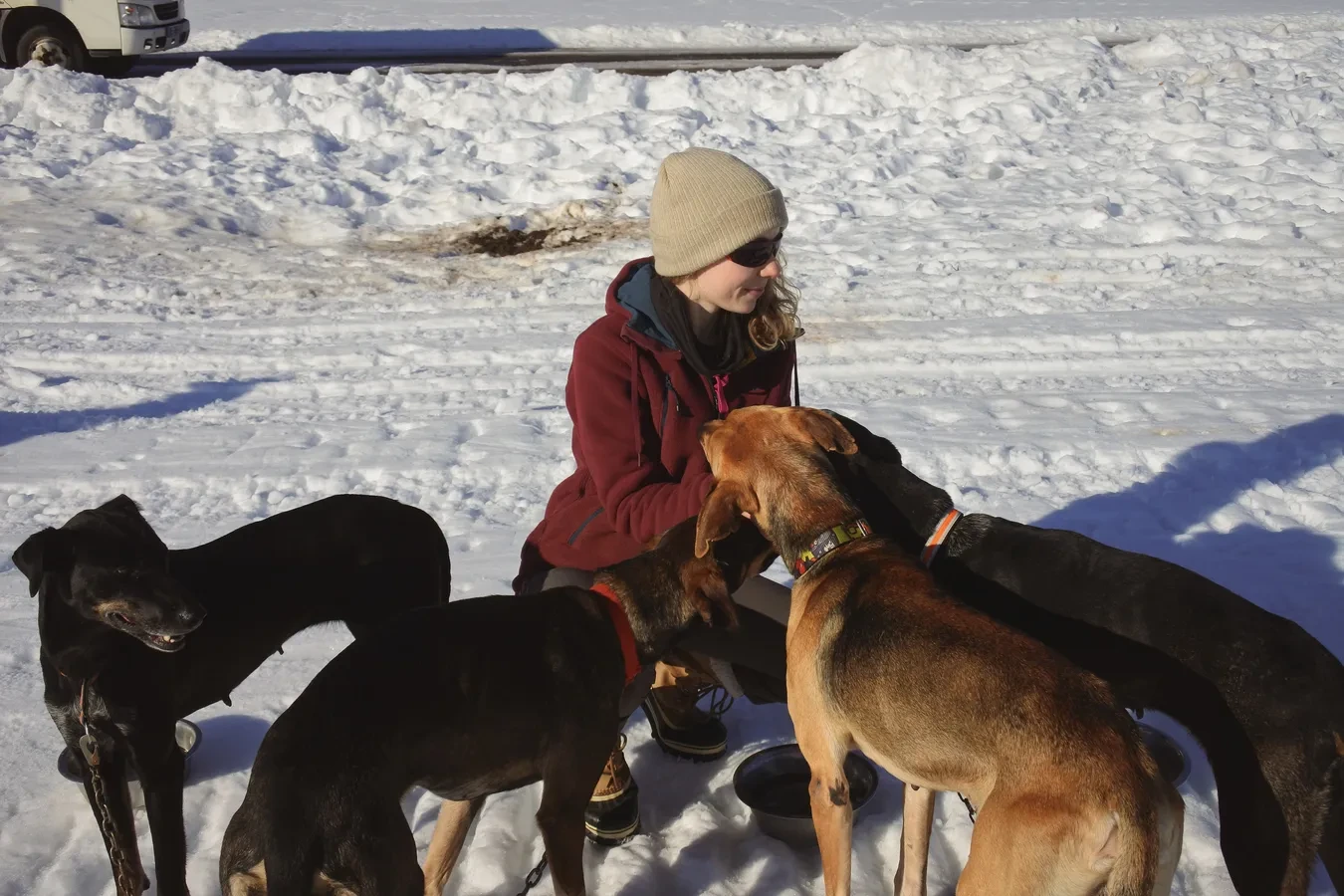 Assise sur le sable, entourée de trois chiens